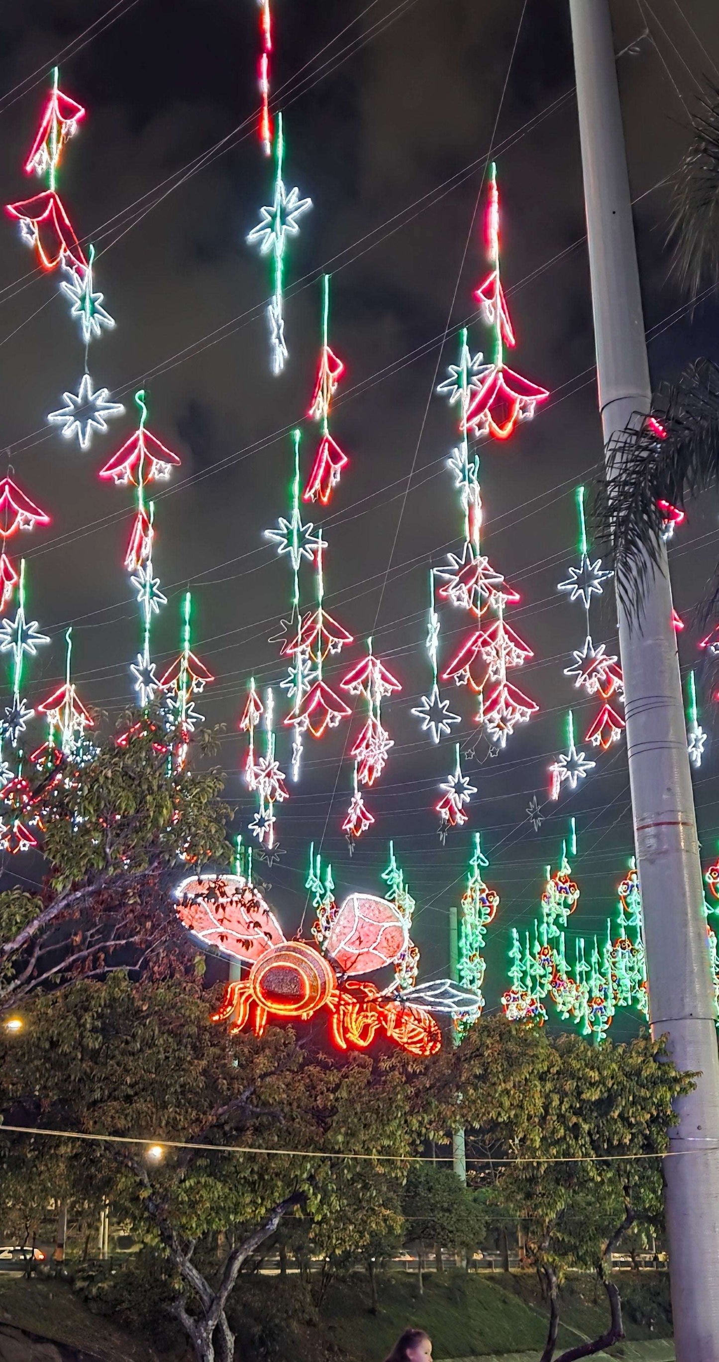 ✨ THE ULTIMATE LUXURY CHRISTMAS LIGHTS TOUR IN MEDELLÍN