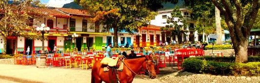 🏞️ PRIVATE JARDÍN LUXURY ESCAPE: Coffee, Culture & Seclusion