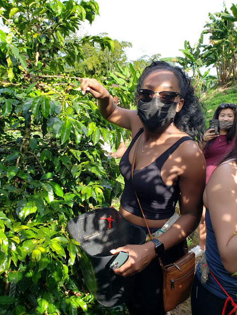☕ PREMIUM COFFEE FARM EXPERIENCE - MEDELLÍN COUNTRYSIDE