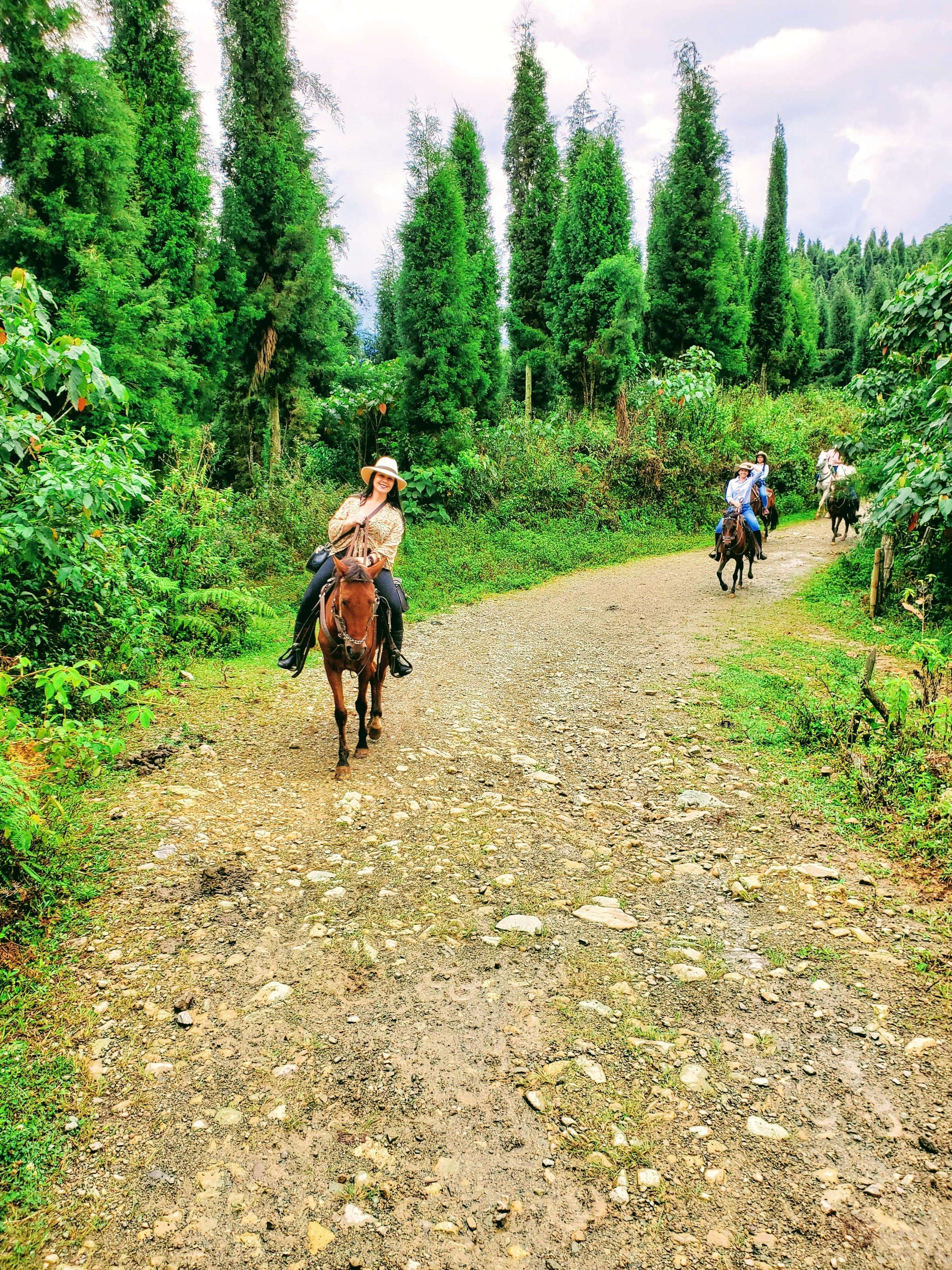 🏞️ PRIVATE HORSEBACK RIDING ADVENTURE - MEDELLÍN