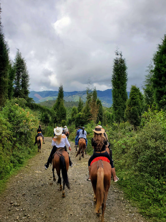 🏞️ PRIVATE HORSEBACK RIDING ADVENTURE - MEDELLÍN