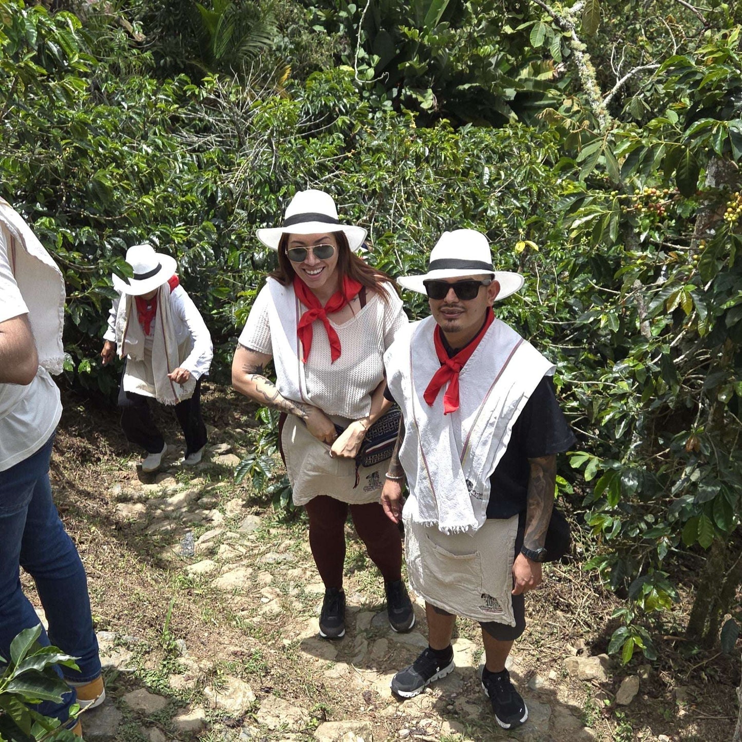 ☕ PREMIUM COFFEE FARM EXPERIENCE - MEDELLÍN COUNTRYSIDE