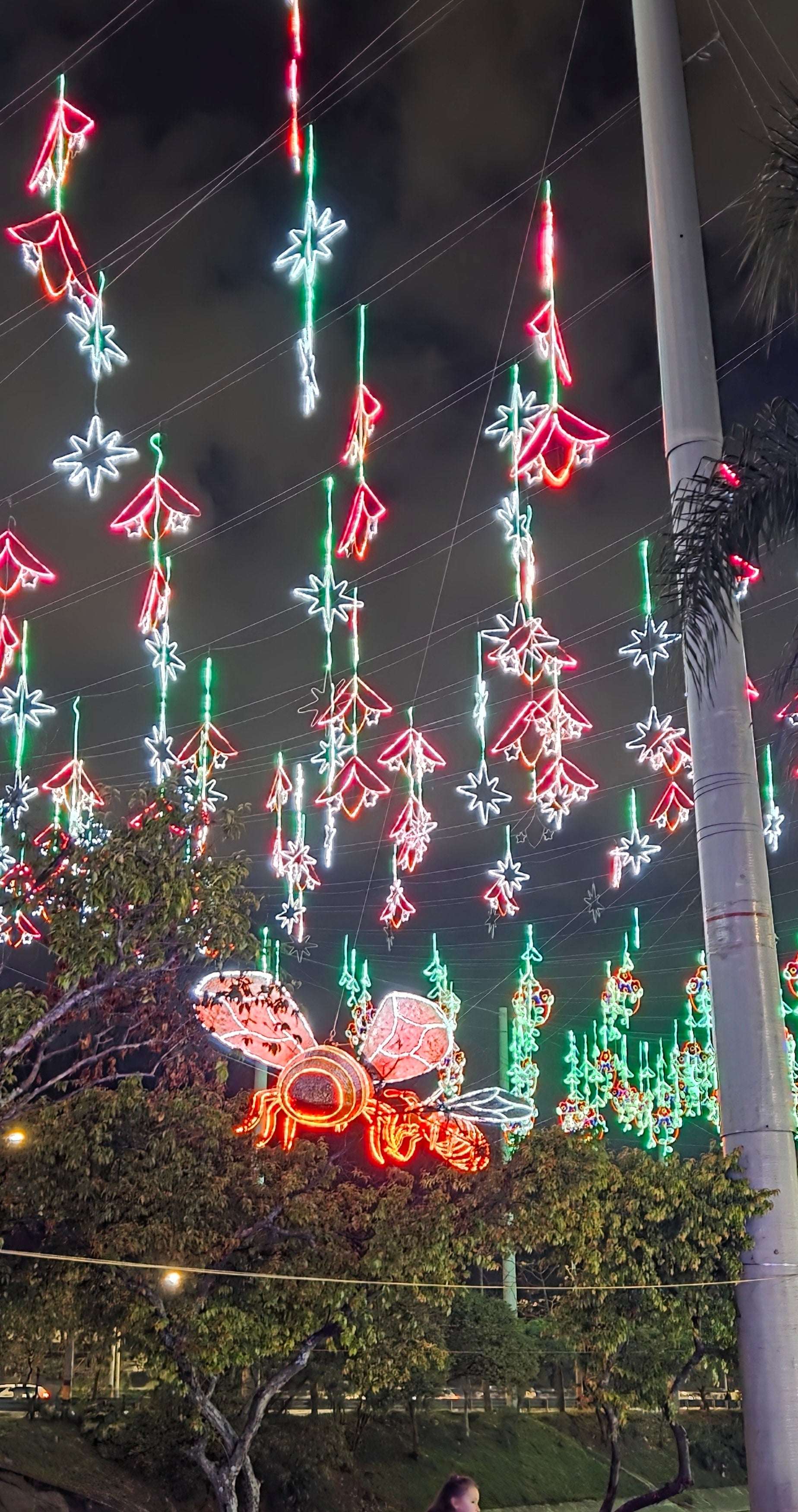 ✨ THE ULTIMATE LUXURY CHRISTMAS LIGHTS TOUR IN MEDELLÍN