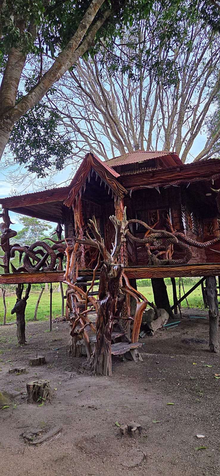 CASA PALMERAS TOLÚ: THE ULTIMATE 5-STAR PRIVATE VILLA EXPERIENCE