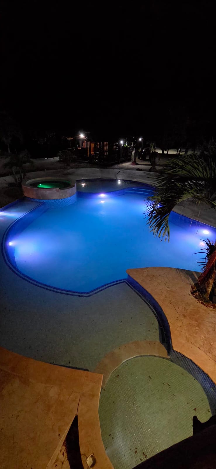 CASA PALMERAS TOLÚ: THE ULTIMATE 5-STAR PRIVATE VILLA EXPERIENCE