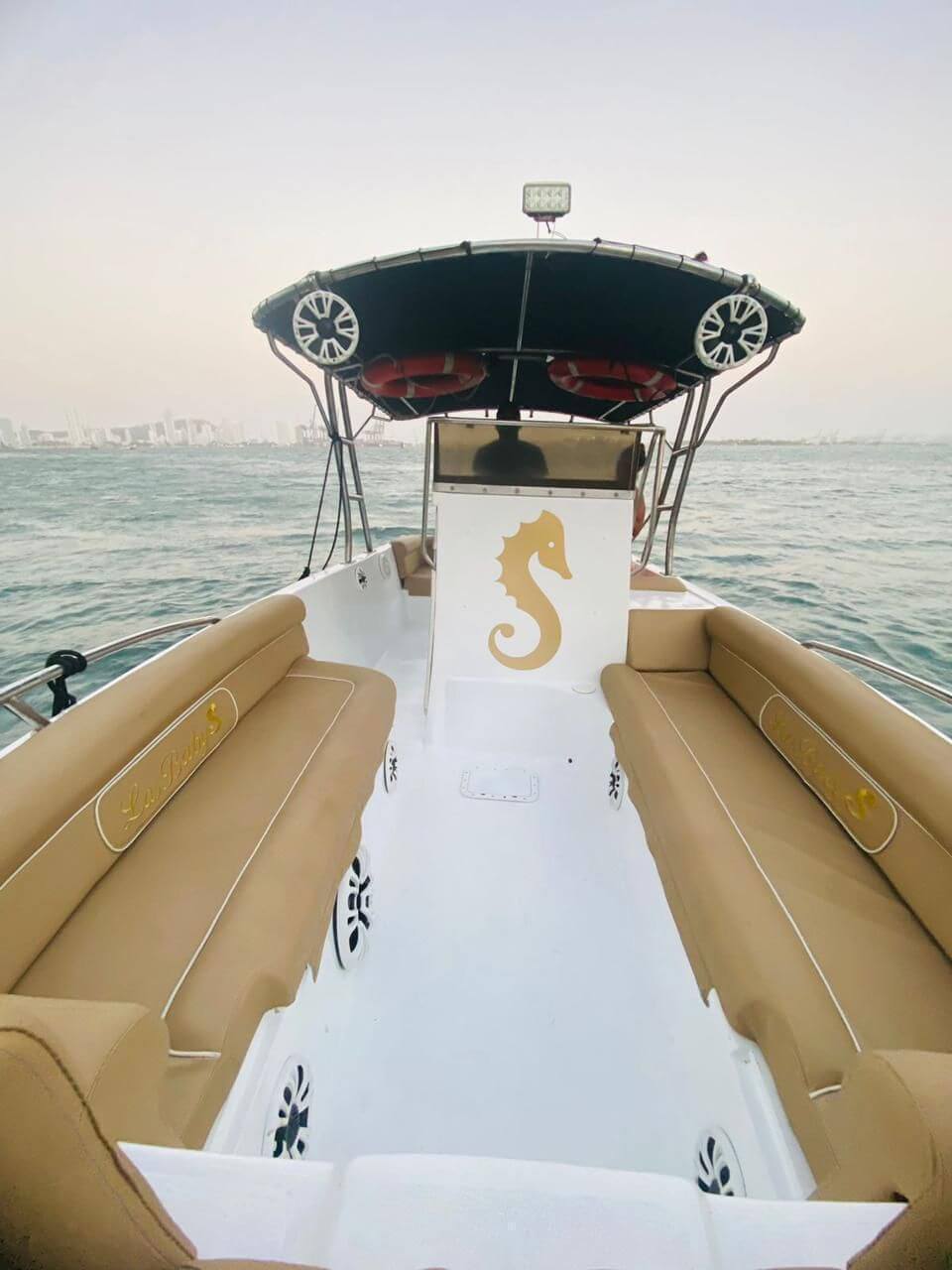 🏝️ ROSARIO ISLANDS WITH CHOLON-LUXURY DAY TRIP