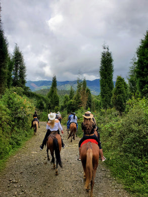 PRIVATE HORSEBACK RIDING TOUR