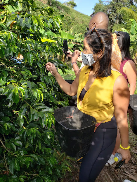 ☕ PREMIUM COFFEE FARM EXPERIENCE - MEDELLÍN COUNTRYSIDE