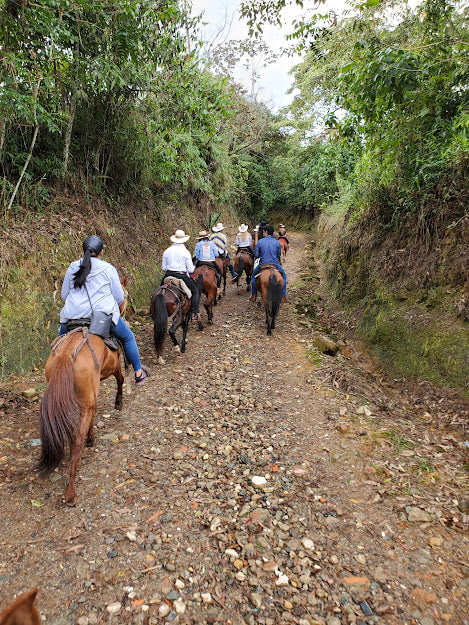 🏞️ PRIVATE HORSEBACK RIDING ADVENTURE - MEDELLÍN